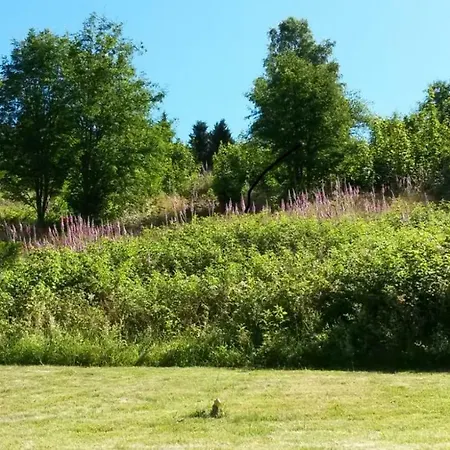 Appartamento Am Muehlenberg *